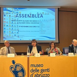 assemblea 19.11.25_13